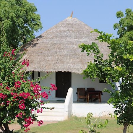 Kutch Safari Lodge ภุช ภายนอก รูปภาพ